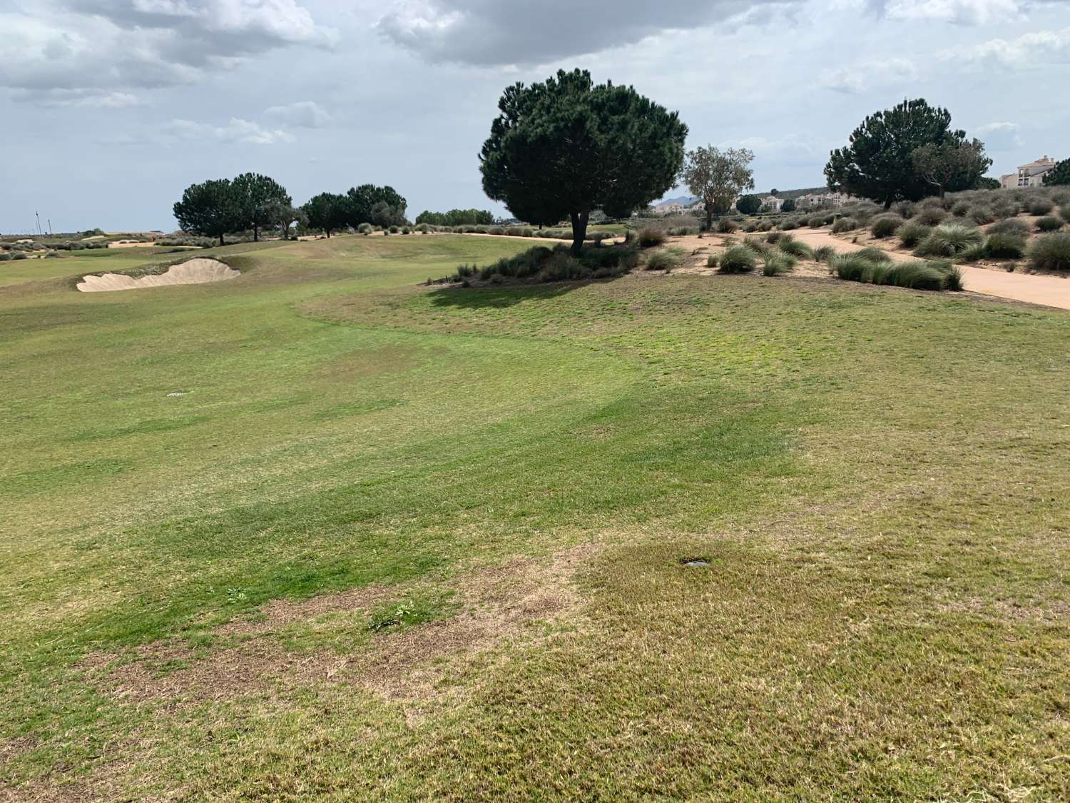 STOR STUELEJLIGHED FORAN POOLEN OG GOLFBASEN