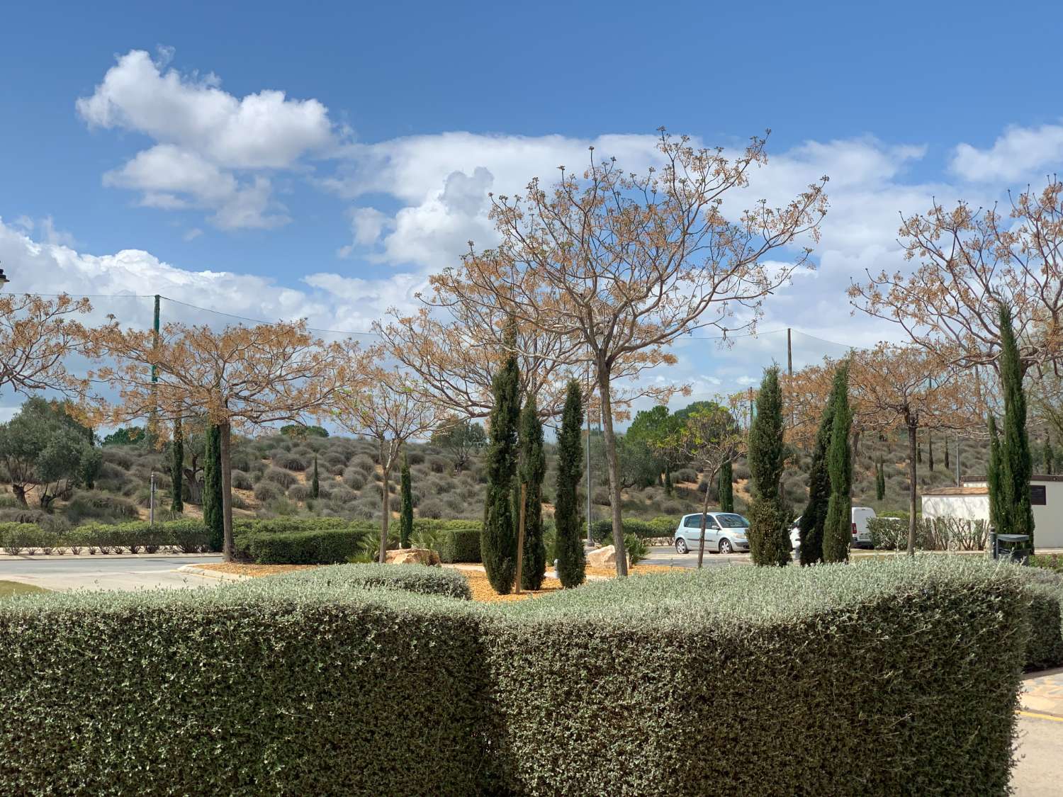 GRAN APARTAMENTO EN PLANTA BAJA FRENTE A LAS PISCINA Y AL CAMPO DE GOLF