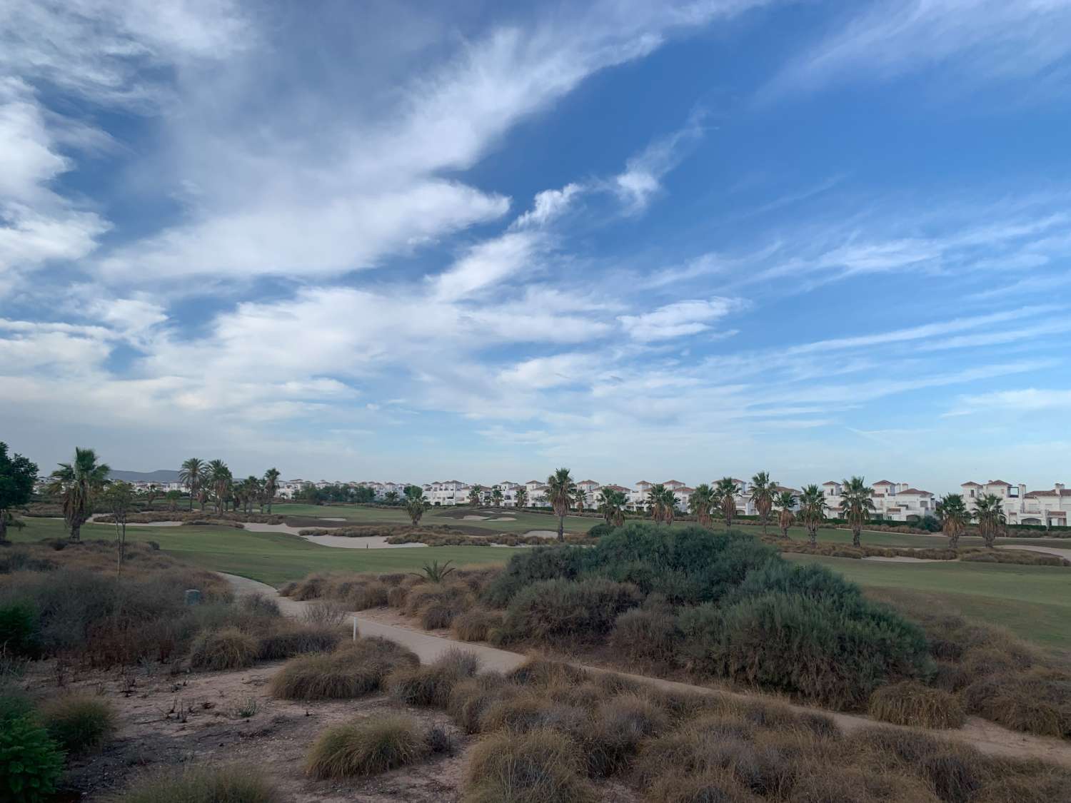 SALE OF TOWNHOUSE IN LA TORRE GOLF RESORT