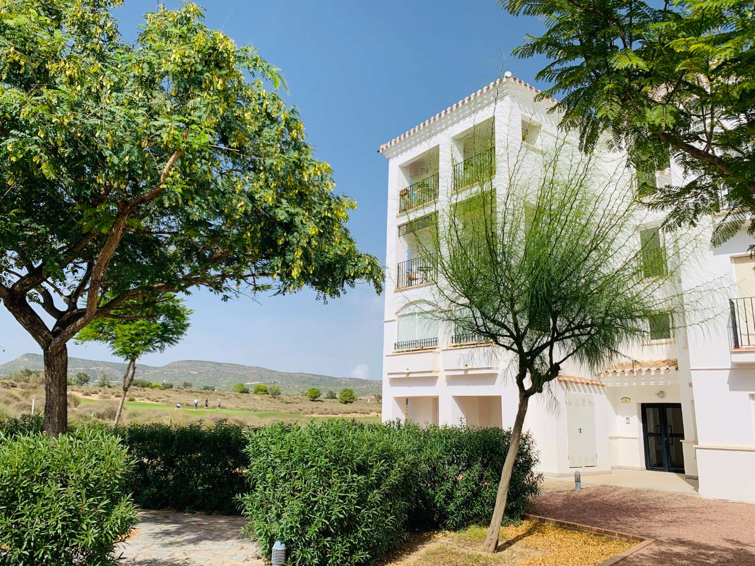 Gelijkvloers appartement voor lange termijn verhuur in Hacienda Riquelme Golf Resort