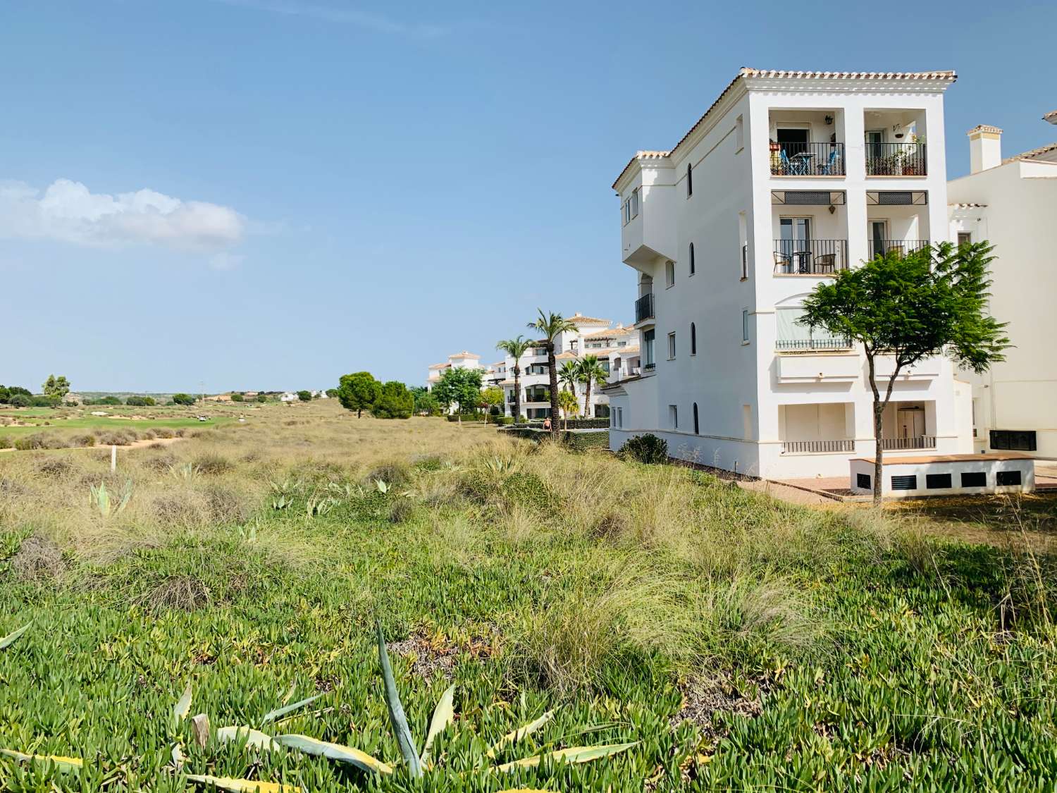 Gelijkvloers appartement voor lange termijn verhuur in Hacienda Riquelme Golf Resort