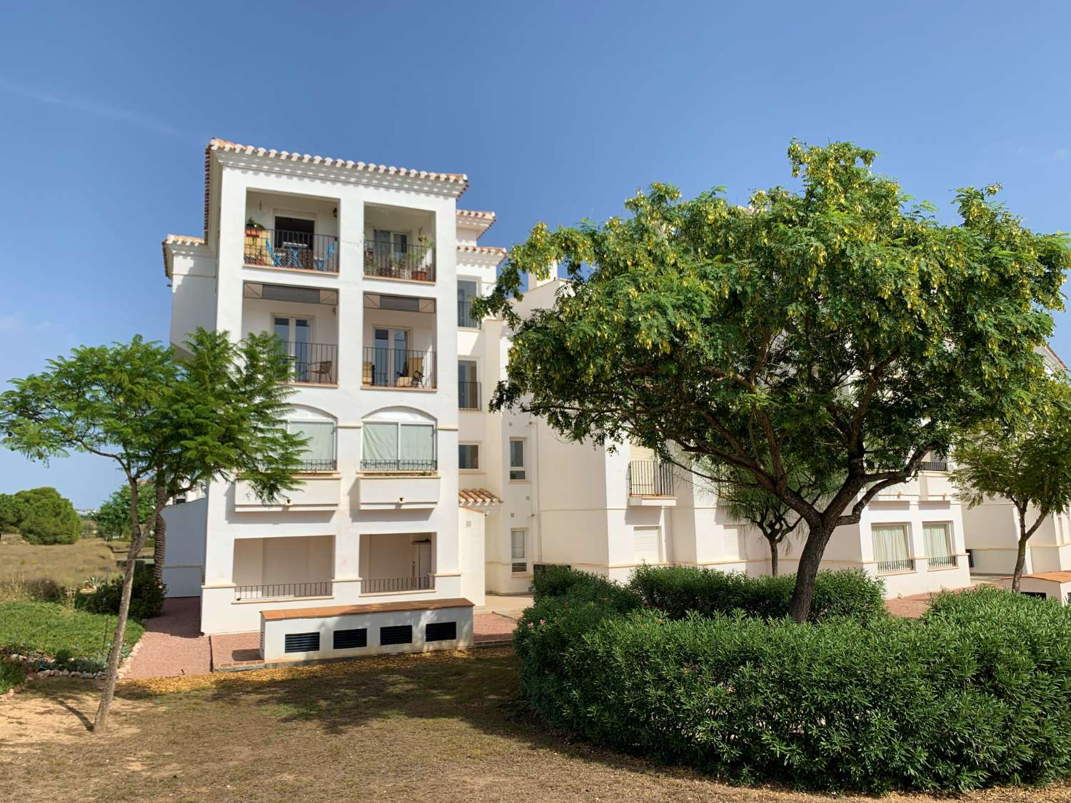 Ground floor apartment for long term rental in Hacienda Riquelme Golf Resort