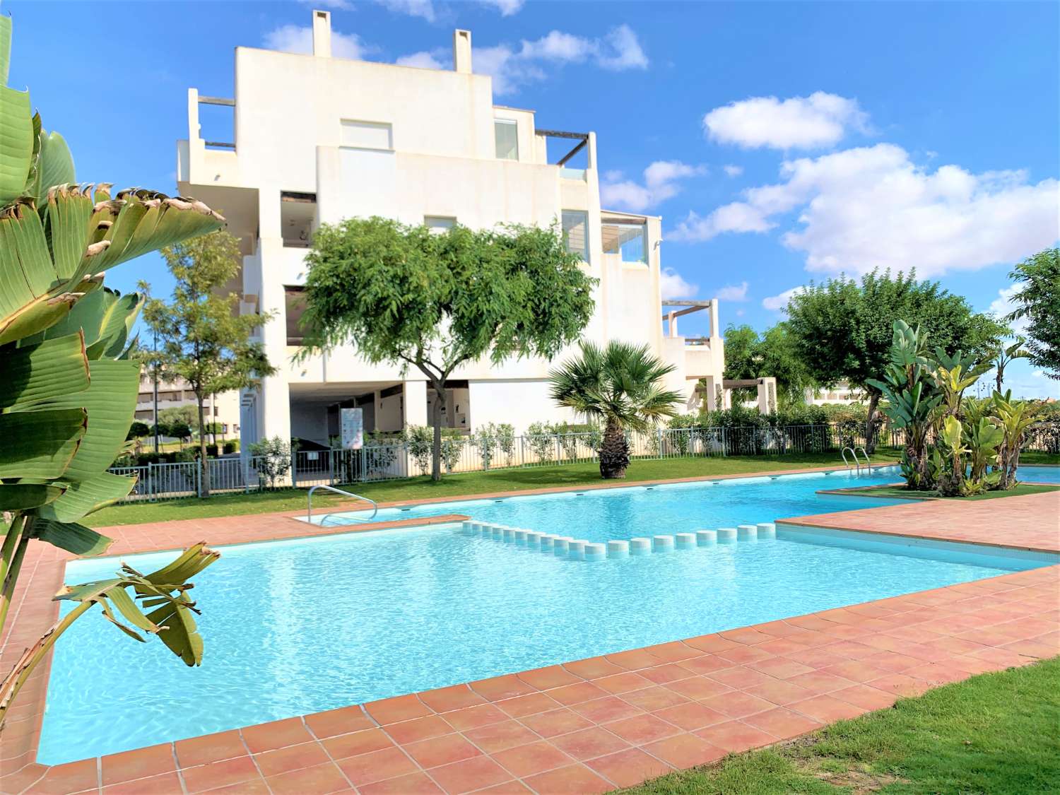 ALQUILER DE APARTAMENTO EN PLANTA BAJA A ESTRENAR