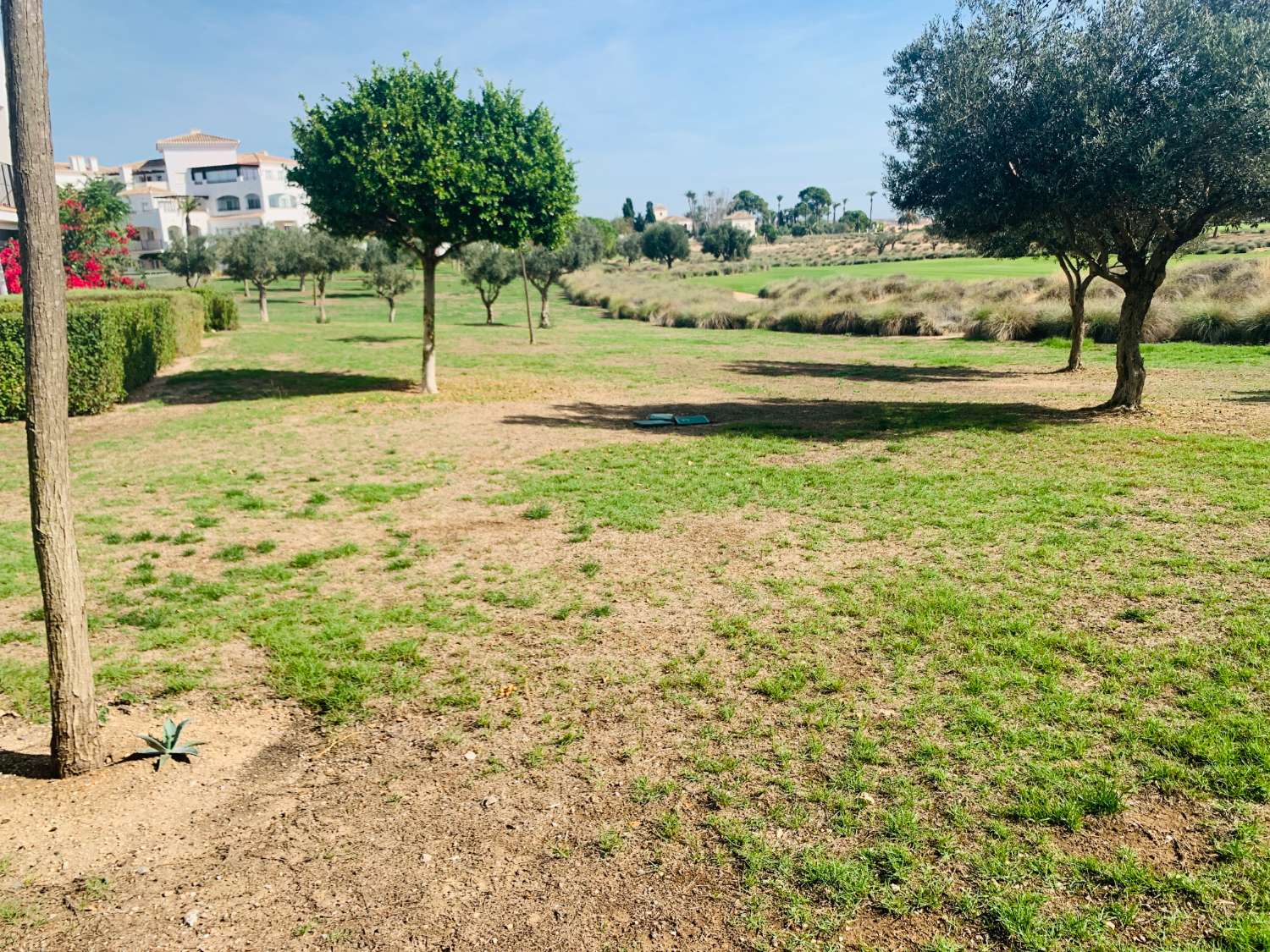 BEGANE GROND TE KOOP IN HACIENDA RIQUELME GOLFRESORT